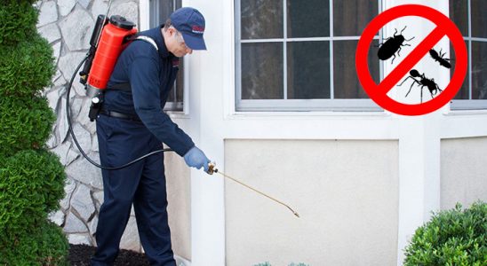 Oğuzlar Uçan Haşere İlaçlama böcek ilaçlama ve haşere kontrolü — ilaclama-tr.com